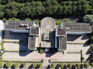 Rijnzathe